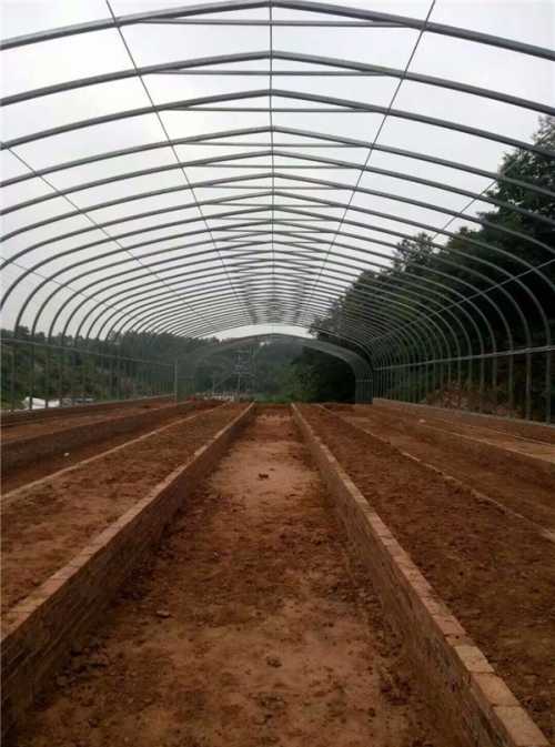 潍坊温室大棚建设价格种植技术详解
