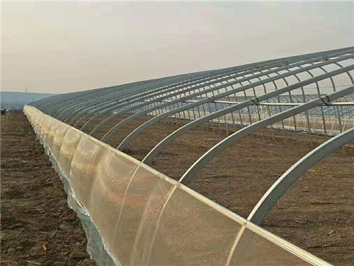 沧州钢管大棚骨架厂家教你产品内的生产而开发的节水增产灌溉技巧