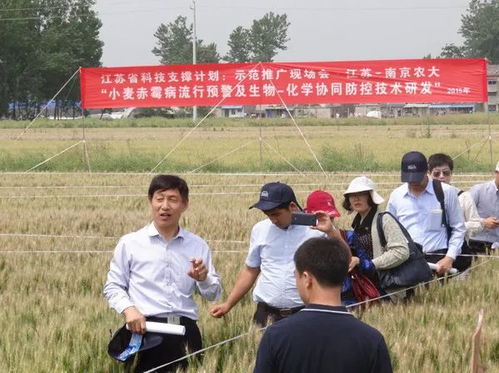 重磅 揽三奖 南京农业大学3项成果获2018国家科学技术奖